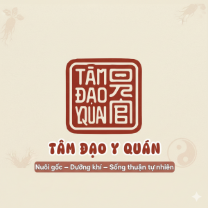 Logo TAM DAO Y QUAN